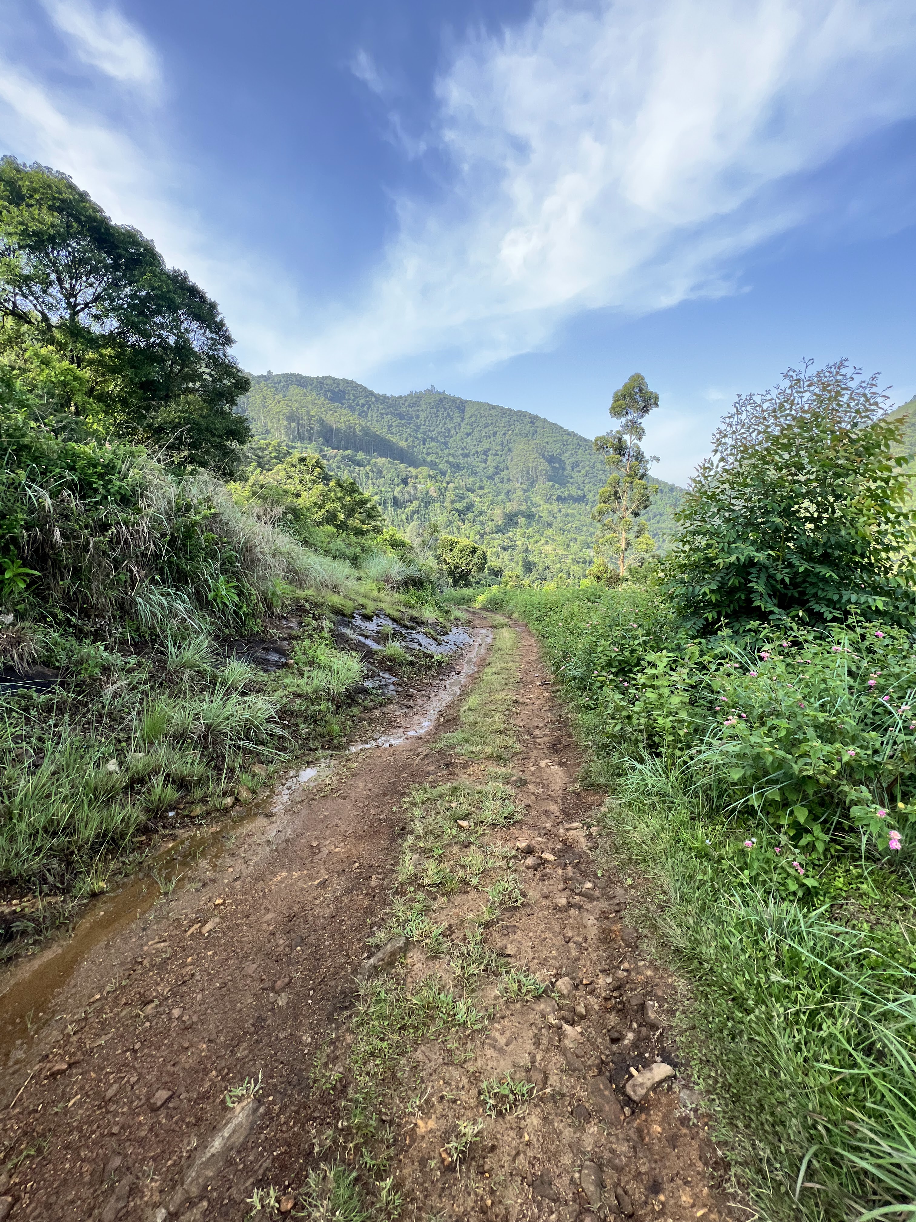 Off-road action in Kodaikanal forest