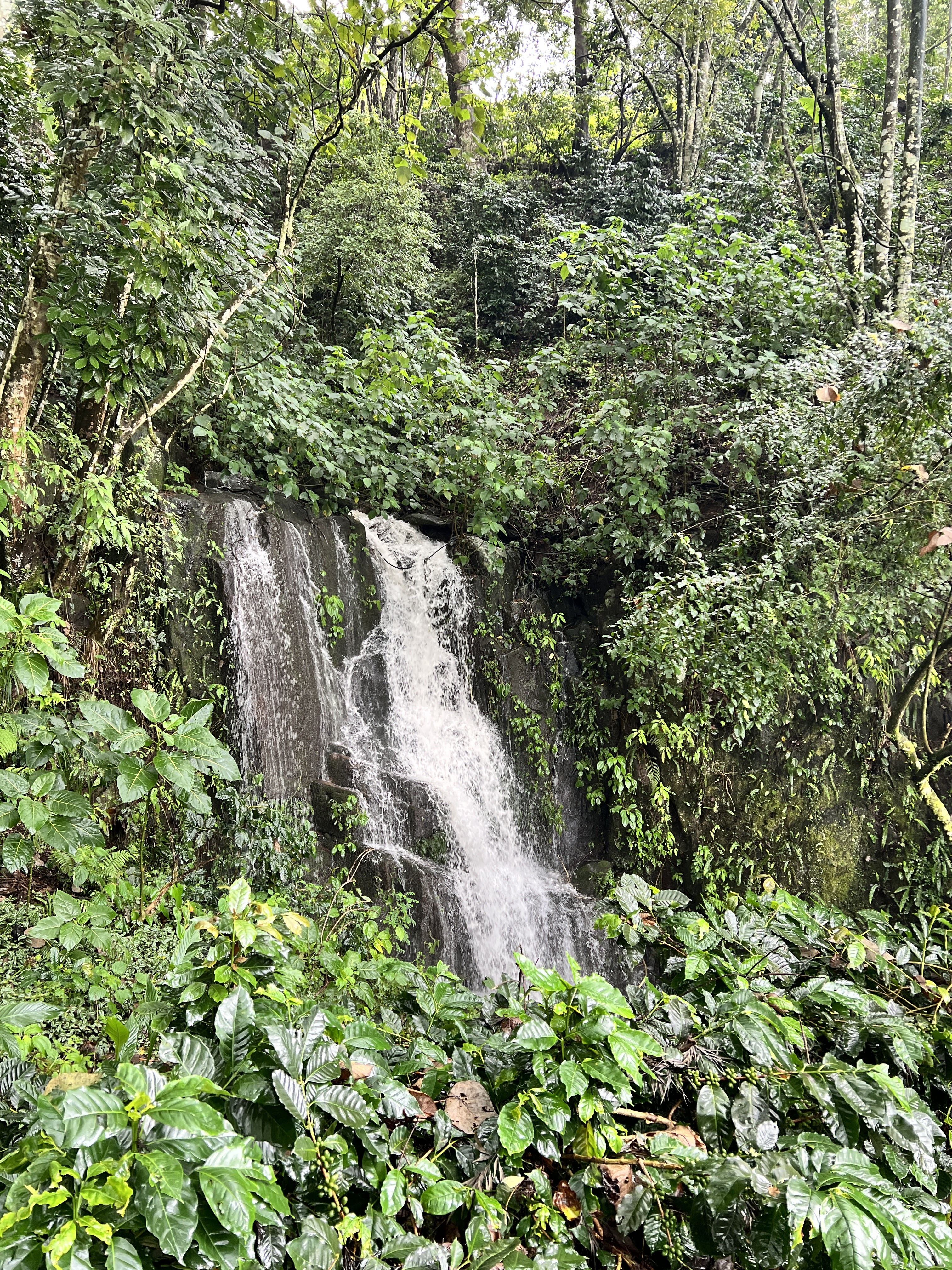 Riders enjoying the track