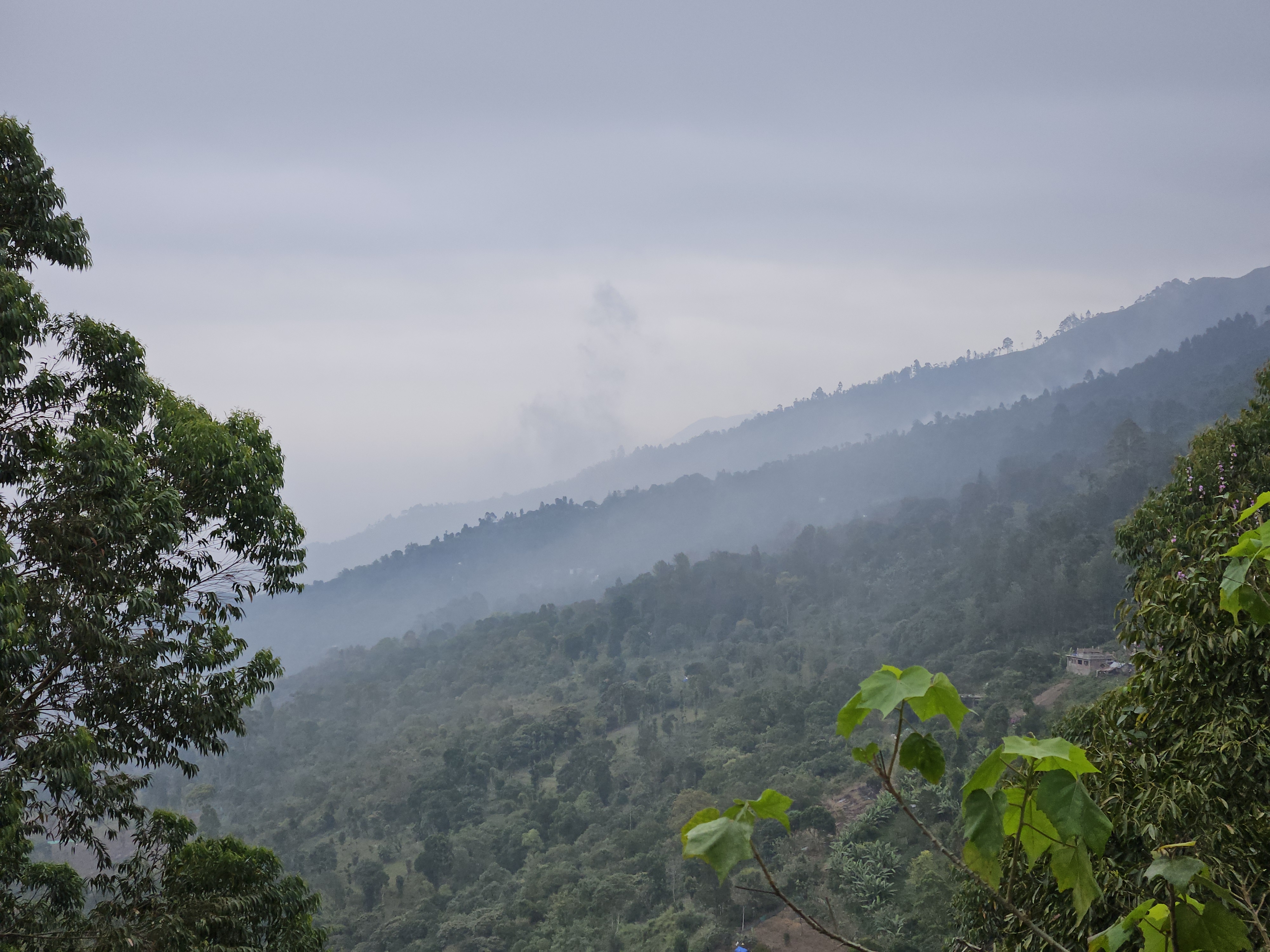 Misty forested hills of Kodaikanal