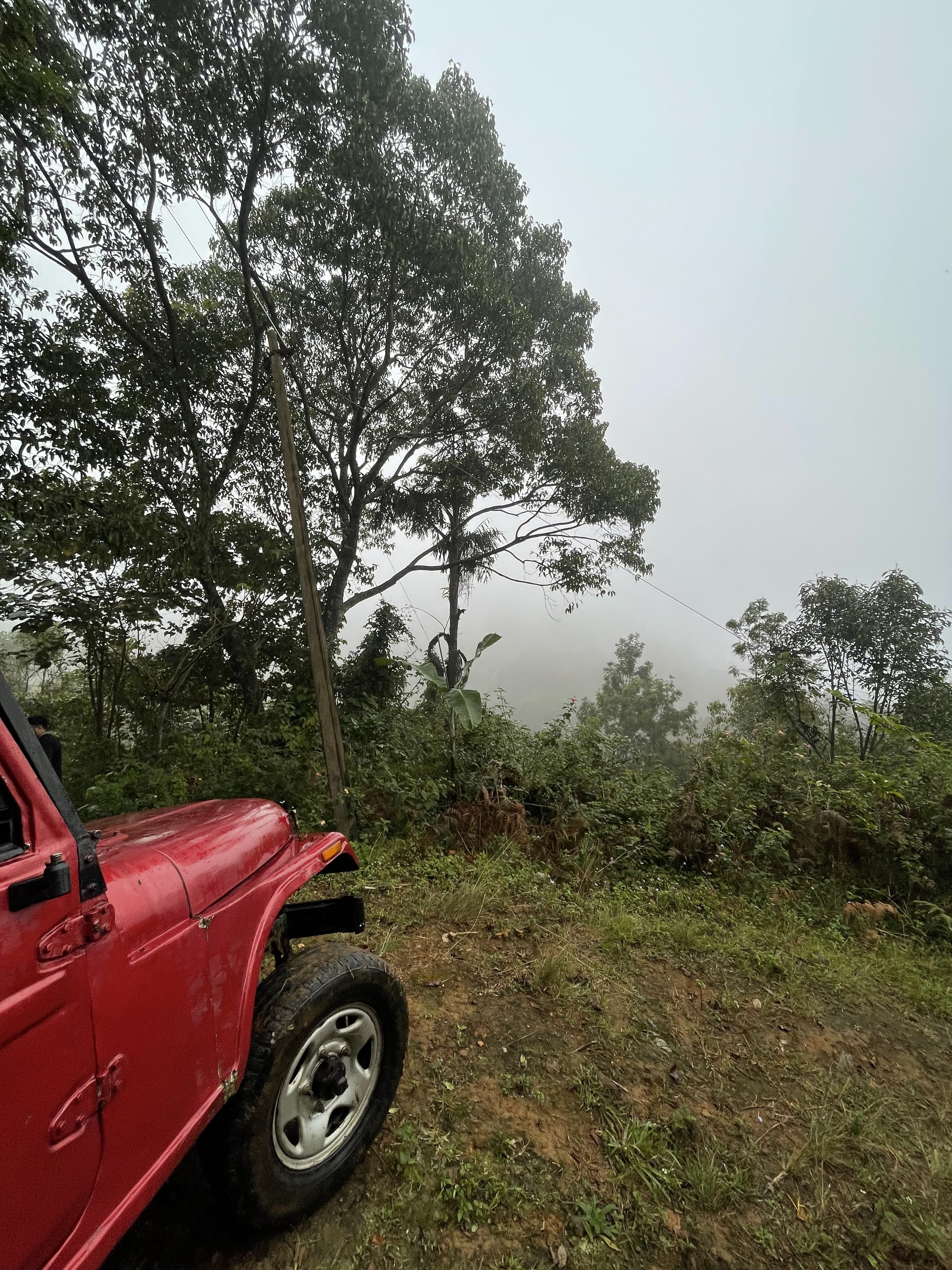 Delicious local food served